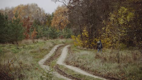 tourist with backpack. hiking man with backpack looking at inspirational autumn golden trees and woods