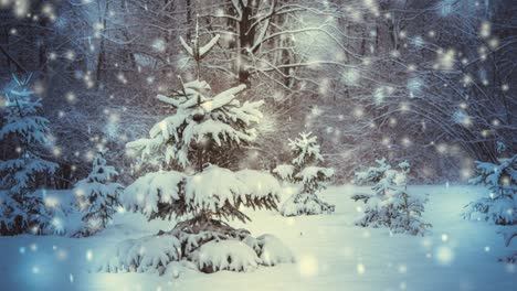 tree spruce fir in magic forest winter with falling snow sunny day