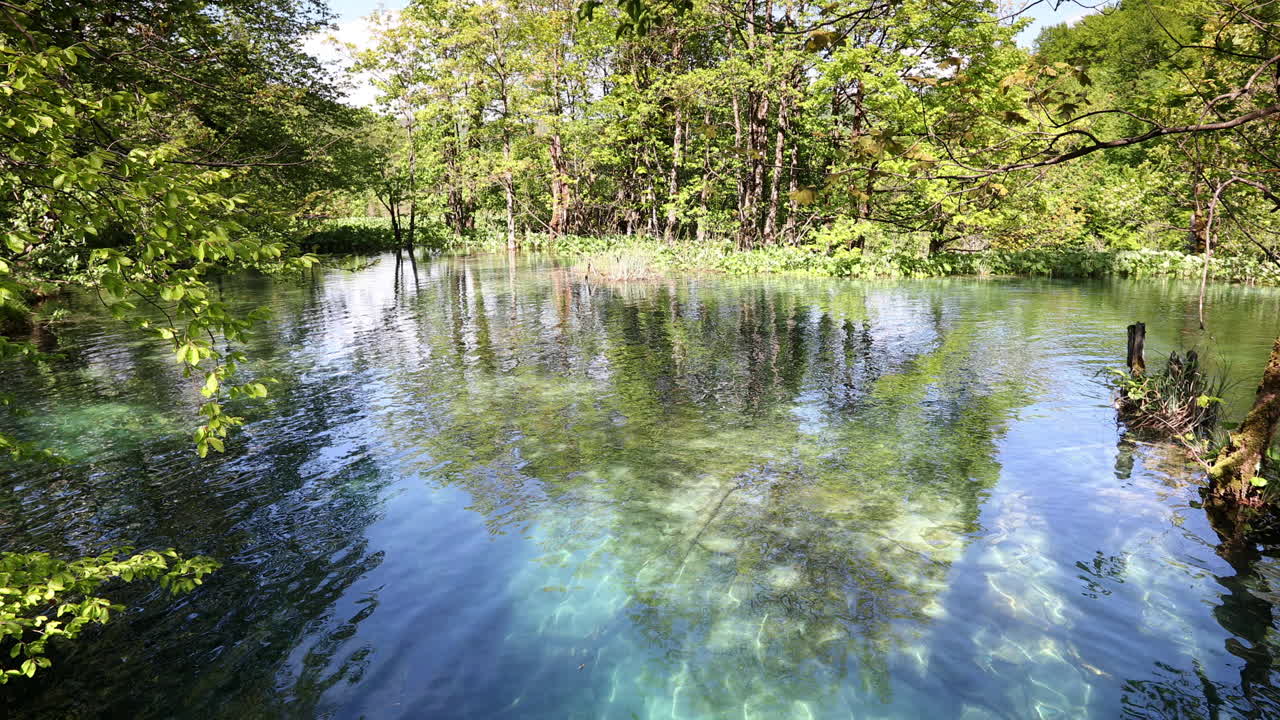 플리트비체 4k 25