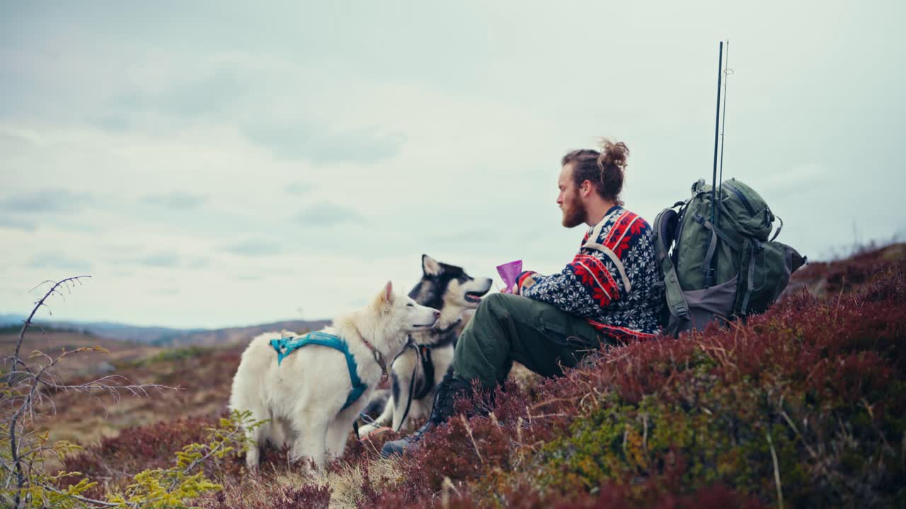Male Hiker And Dogs Resting And Eating During Hike In Åfjord, Norway - Static Shot