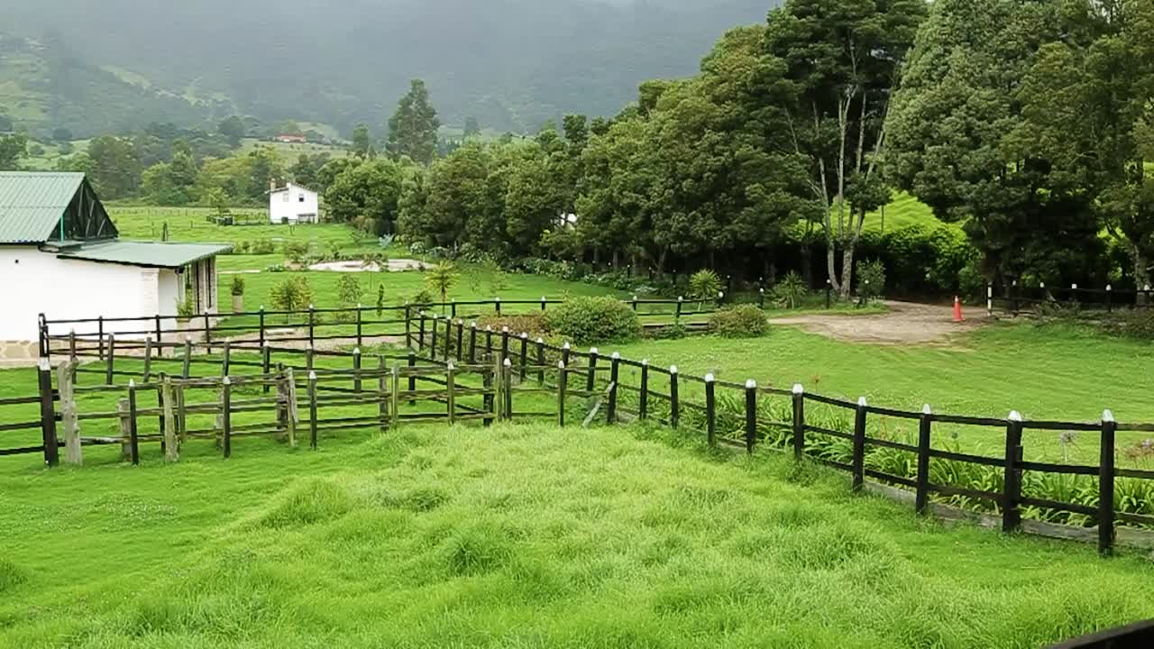 말을 돌보기 위해 들판에 두다