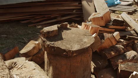 Chopping-large-piece-of-wood-outside-in-garden