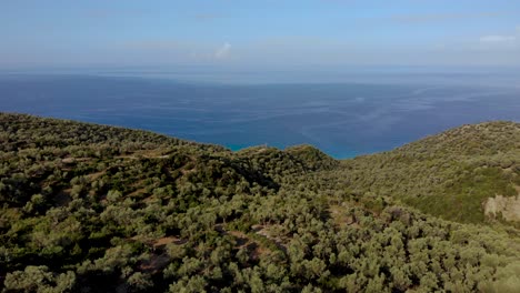 green terraces with olive trees on edge of hills surrounded by endless blue ionian sea