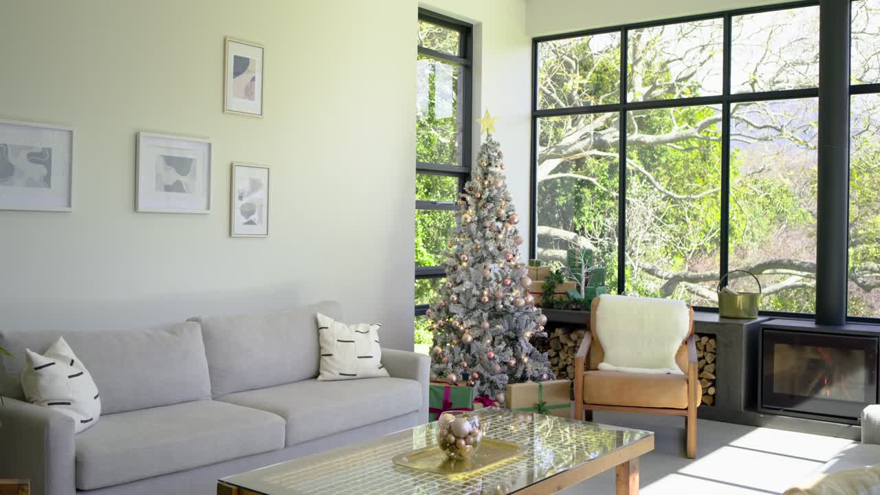 On start, camera is panning across room to reveal decorated Christmas tree, firewood and fireplace