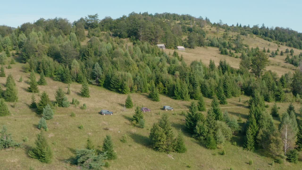 захватывающий дух пейзаж горы осенью с вечнозелеными деревьями
