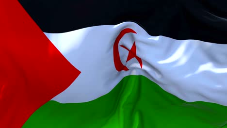 western sahara flag waving in wind slow motion animation . 4k realistic fabric texture flag smooth blowing on a windy day continuous seamless loop background.