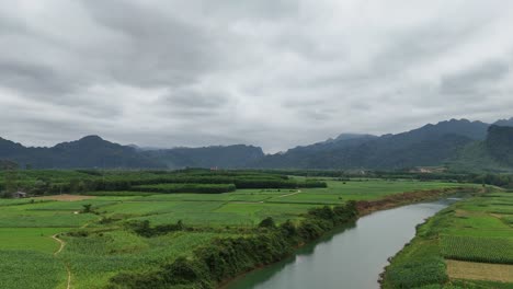 Luftaufnahme-Eines-Flusses,-Der-In-Der-Nähe-Eines-Getreidefeldes-Mit-Bergen-Im-Hintergrund-In-Vietnam-Vorbeifließt