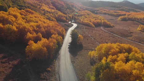 retiro aéreo de la carretera y árboles de aspen dorado en guardsman pass utah, ee.uu.