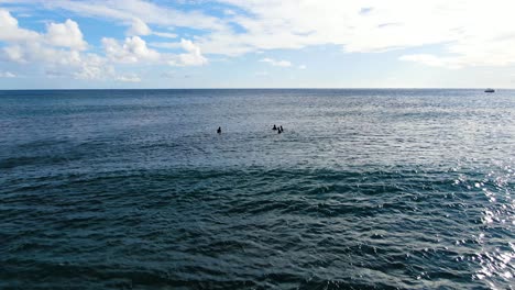 saca una foto de surfistas sentados en tablas esperando olas en hawaii en un día soleado
