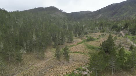 Claro-De-Montaña-En-El-Parque-Nacional-Valle-Nuevo,-Constanza-En-República-Dominicana