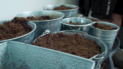 soil is being scattered or sprinkled across the buckets, distributed evenly as it is spread over each one