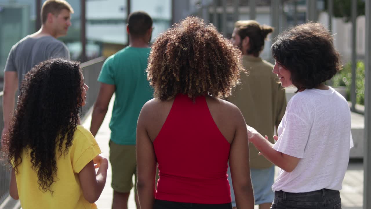 vista trasera de amigos caminando al aire libre