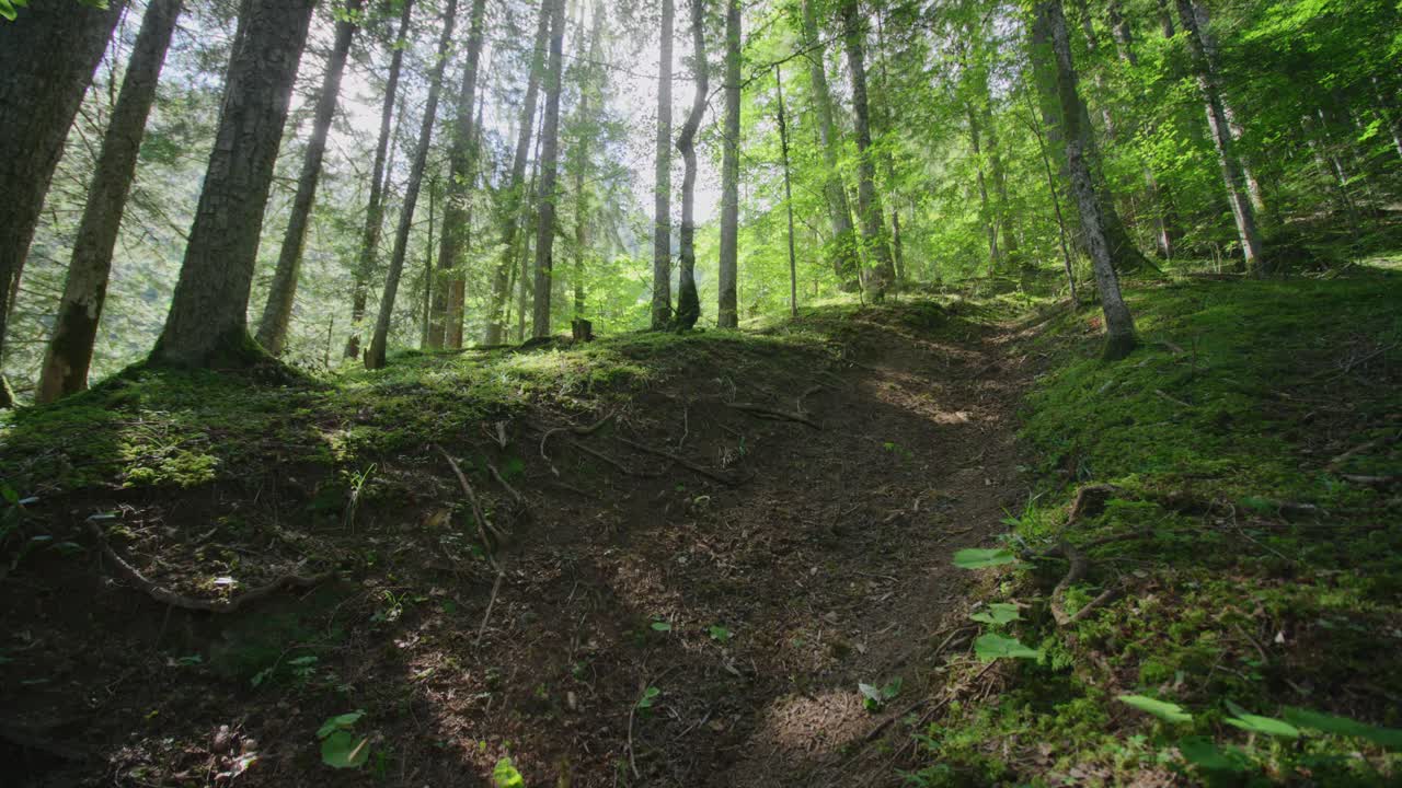 un ciclista de montaña baja muy rápido por un sendero empinado