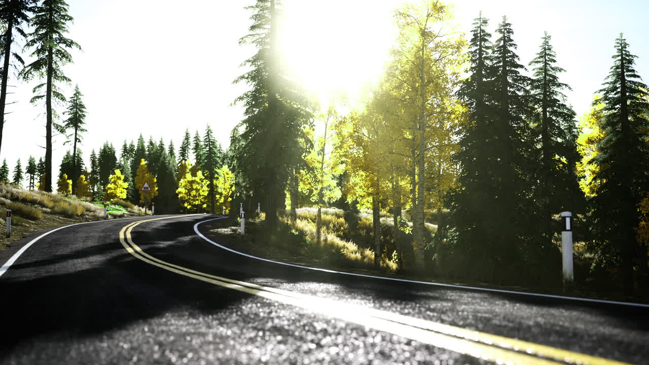 Beautiful winding road through vibrant autumn forest at sunrise
