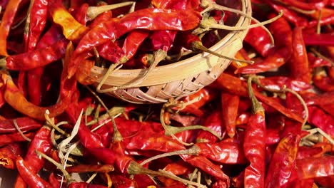 Rote-Chilischoten,-Viele-Aus-Flachem-Winkel-Am-Tag