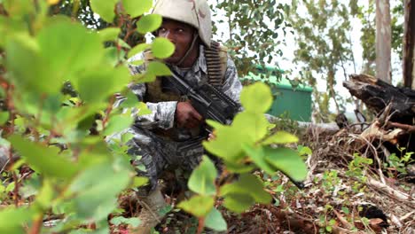 military soldier guarding with a rifle