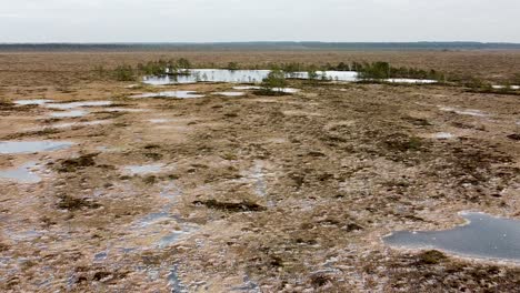 aerial drone view of some frozen bog lakes in a large wide wetland field