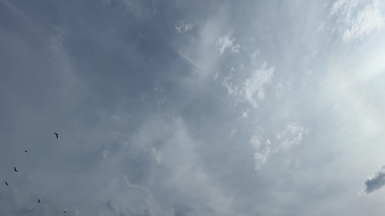Cloudy skies with birds flying through occasionally, filmed from Green Point Park, Cape Town.