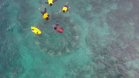 top view of people learn snorkeling in crystal clear water of gili islands, lombok, indonesia