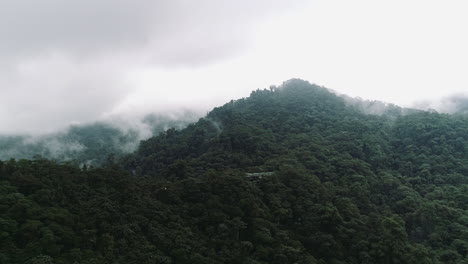 Mashpi-Lodge-En-Medio-Del-Bosque-De-La-Zona-Andina-Del-Choco