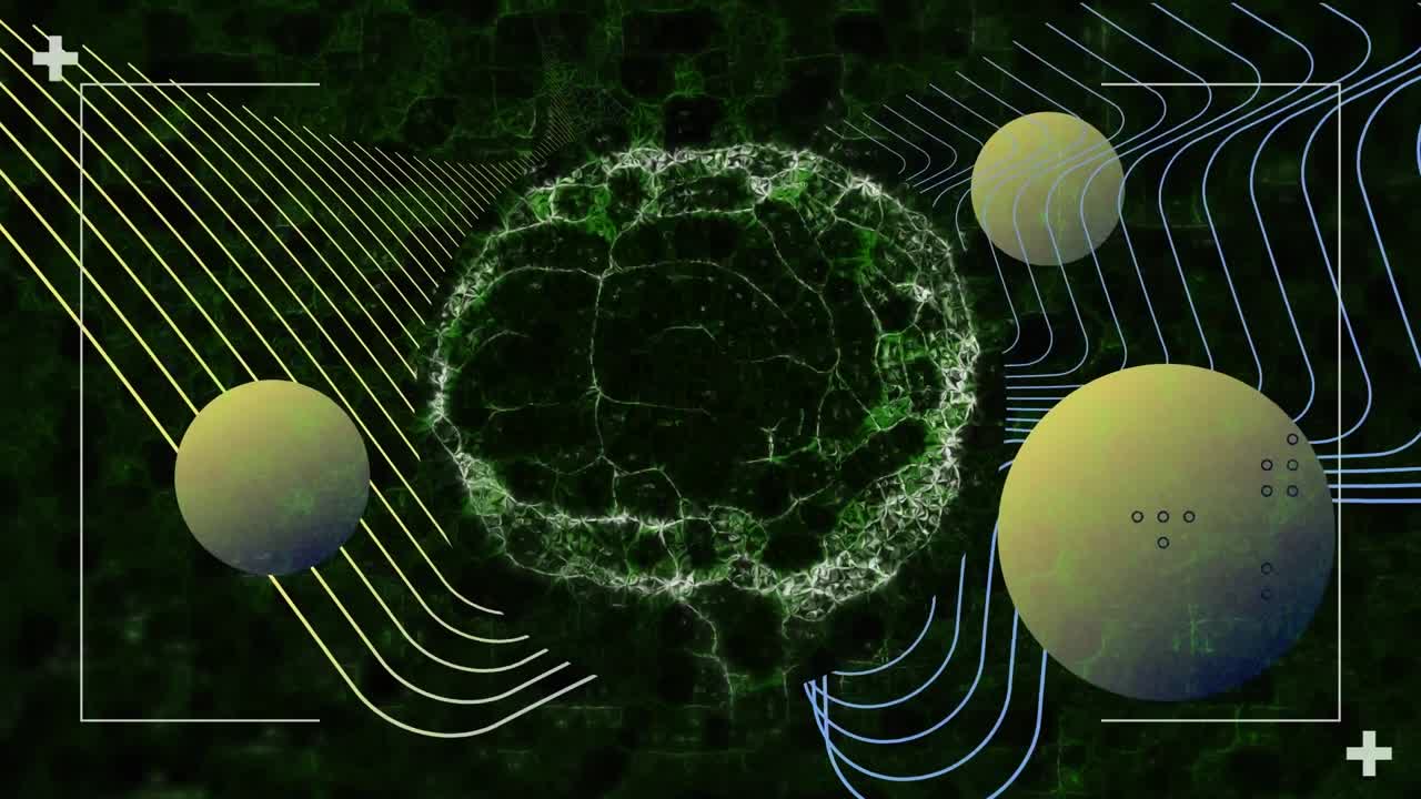 Animation of digital brain rotating over yellow and blue curves and yellow spheres, on black