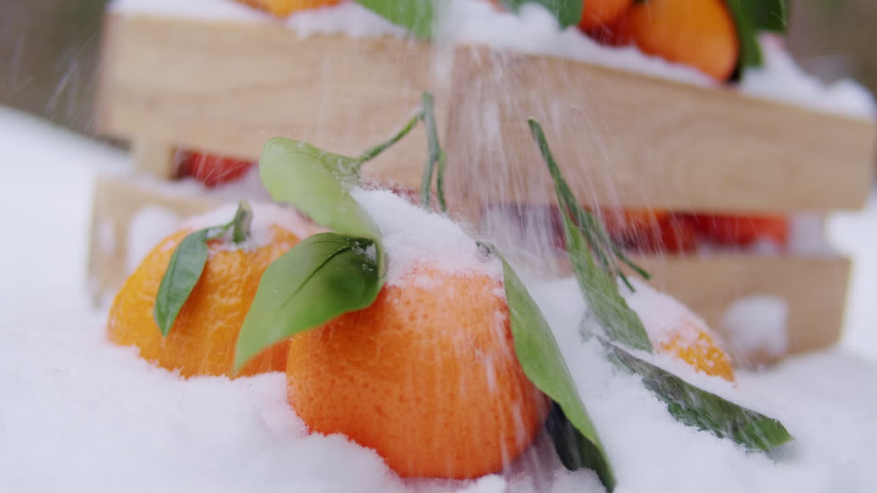 naranjas en la nieve