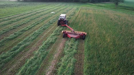 using a hyrdoswing swather, a wisconsin farmer cuts a field of alfalfa and grass