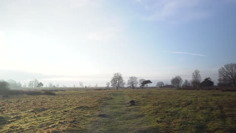 winter landscape with path and fog