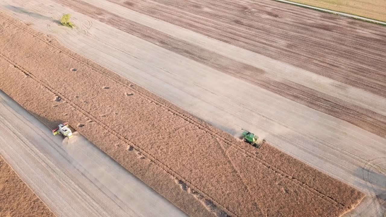 Due mietitrebbie raccolgono cereali da campi aridi durante un tramonto in Lituania