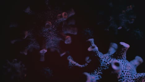 coronavirus