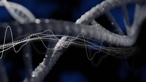 animation of diagrams over dna strand