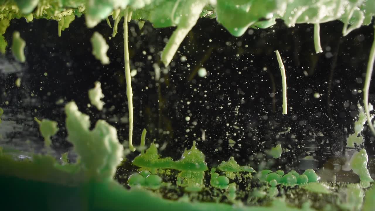 회전하는 토네이도와 벌레 같은 부유 생물로 빠르게 상승 및 하강하는 기름 방울을 발사합니다.