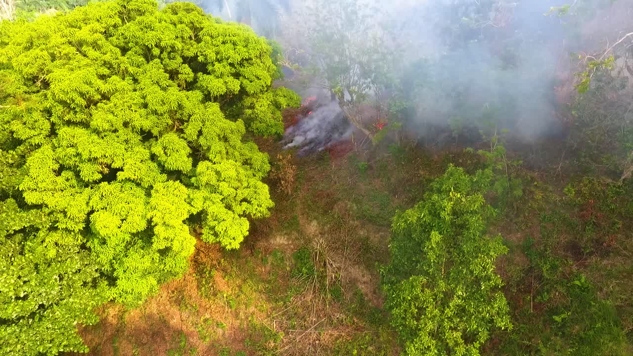 vista aérea de un furioso incendio forestal, ardiendo en bosques tropicales y selvas, en congo, áfrica central - carro, tiro de drones