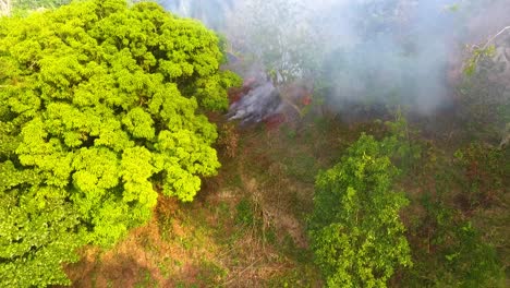 Aerial-view-of-a-raging-wildfire,-burning-in-tropical-forest-and-Jungle,-in-Congo,-Central-Africa---dolly,-drone-shot