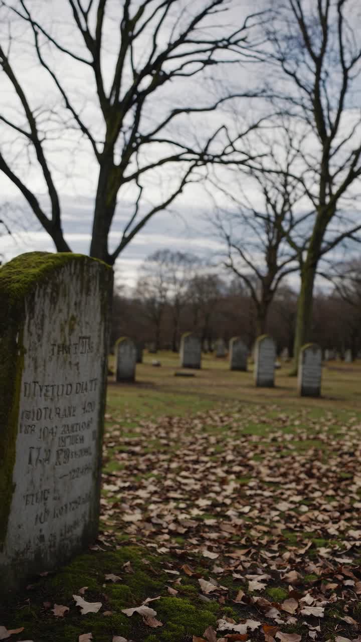 A somber, atmospheric video still of a graveyard in winter. Shot from a low angle