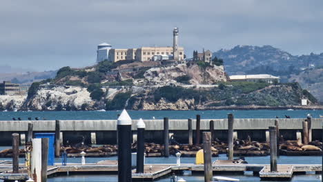 alcatraz island and prison view from pier 39 with sea lions sunbathing on hot sunny day, san francisco ca usa