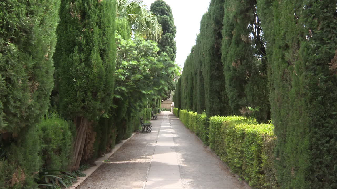 Formal Garden Path with Trimmed Trees and Shrubs