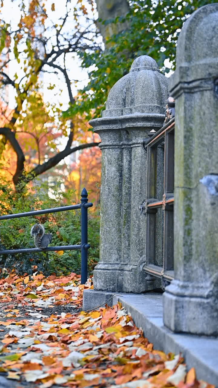 Central Park in autumn and Manhattan skyscrapers, New York City