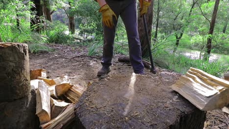 tronco dividido con hacha para combustible de invierno, vegetación verde detrás - cierre de tronco, hombre en el trabajo, piernas, botas de trabajo y guantes de trabajo - cámara lenta