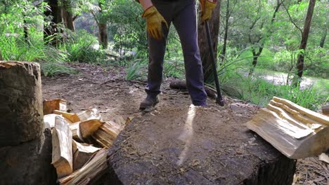 splitting log with axe for winter fuel, green vegetation behind - close up of log, man at work, legs, work boots and work gloves - slow motion