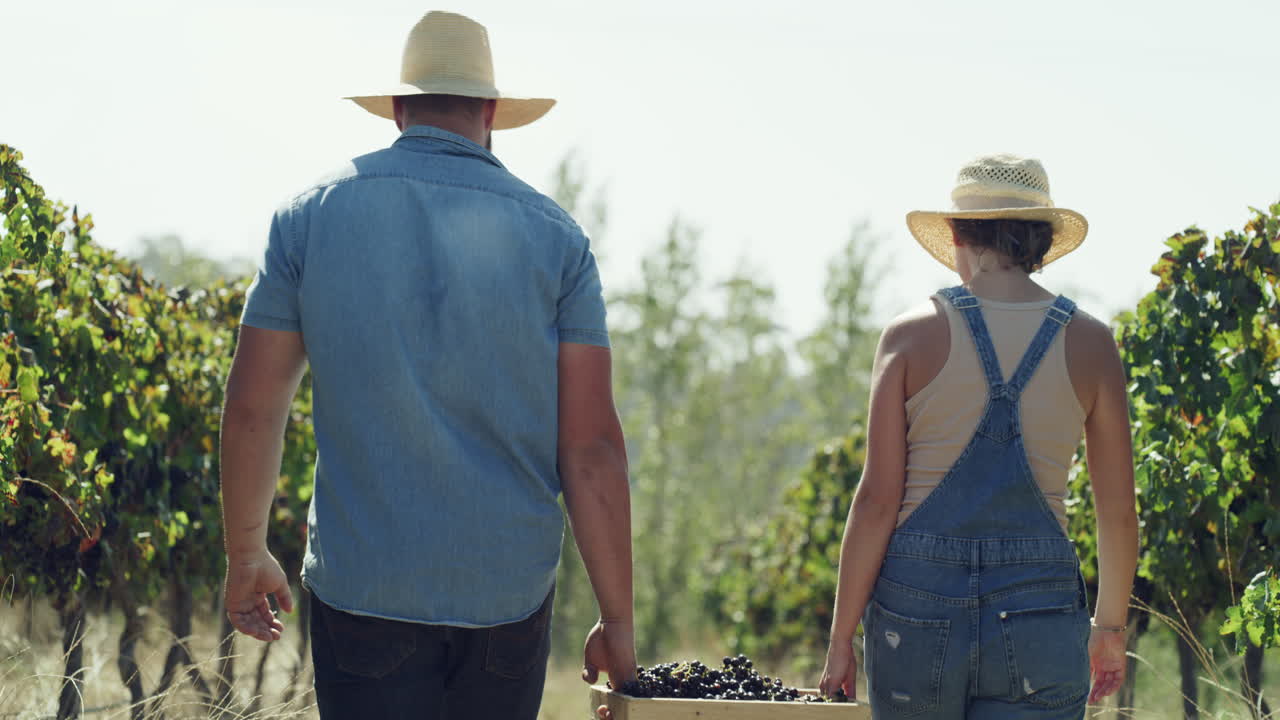 gracias por ayudarme a llevar esto.