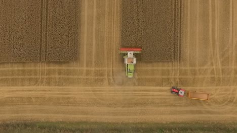 Zoom-Aéreo-De-La-Cosecha-Sobre-La-Cosechadora-Cuando-Comienza-Un-Cultivo-Con-El-Tractor-Y-Los-Carriles-A-La-Vista