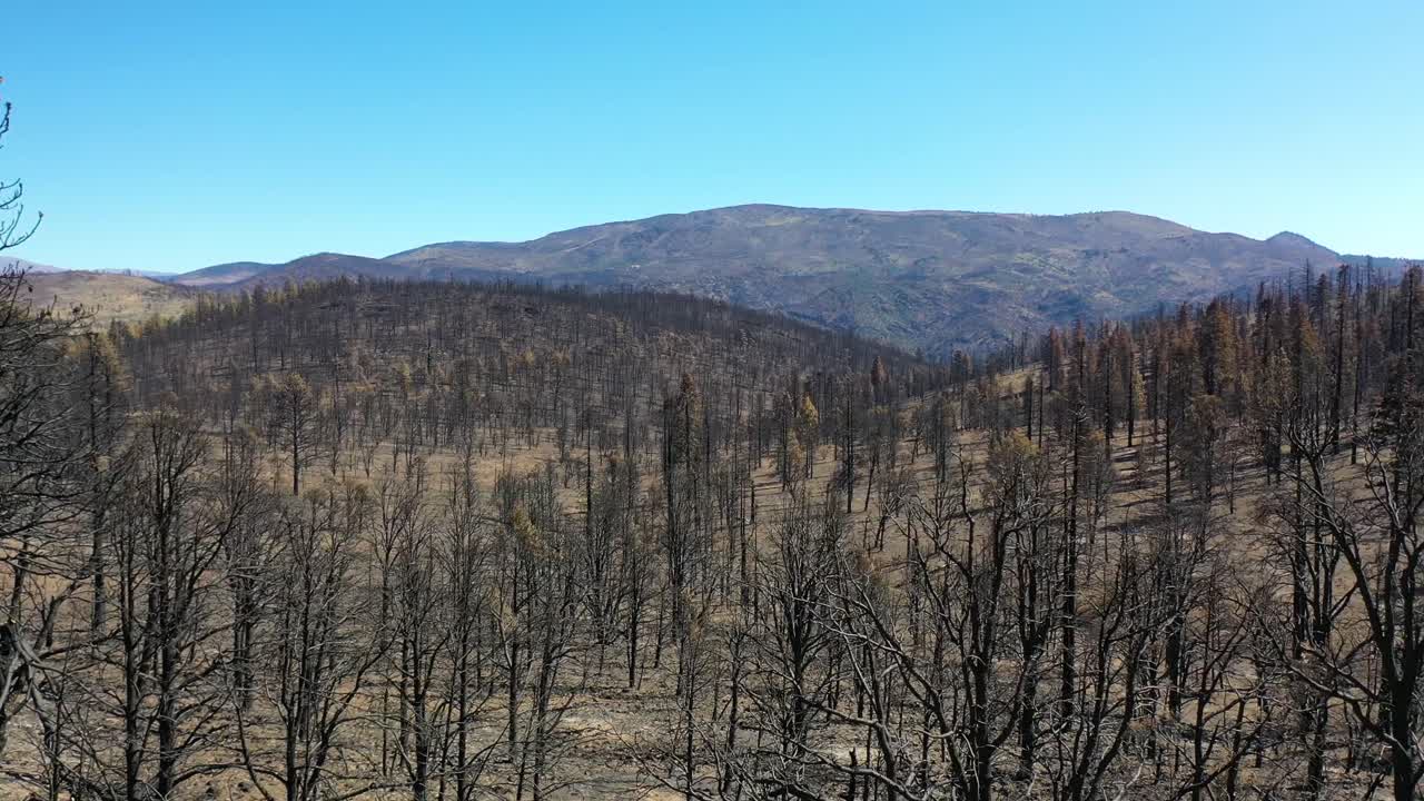 캘리포니아 타호 호수 근처의 칼도르 화재의 파괴된 삼림 나무와 황무지 파괴를 통한 느린 지상 공중