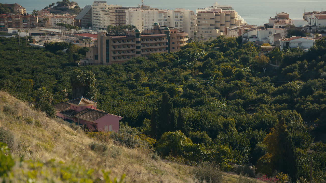 A small pink farmhouse nestled among green orchards with a coastal cityscape and ocean in the distance under warm sunlight