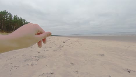 watching in close-up the nature, a little bit of sand, in november on the latvian coast of the baltic see