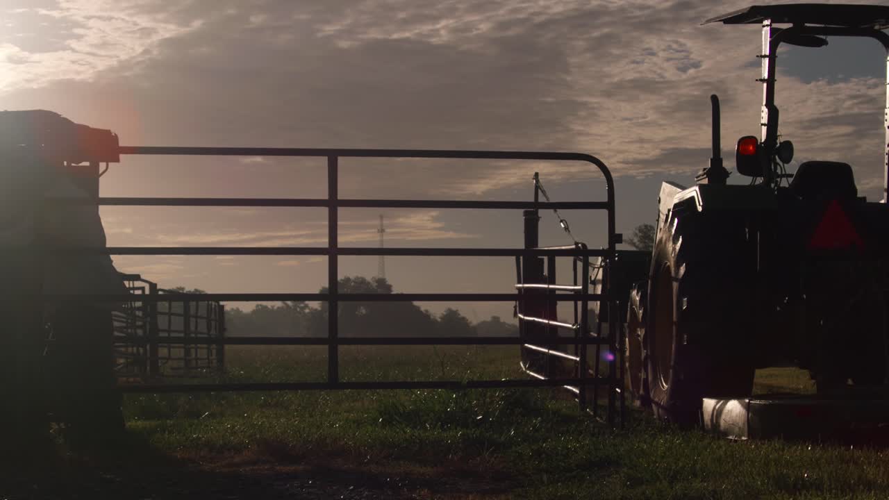 Silhouette farmer near paddock gate cattle pasture day sunrise