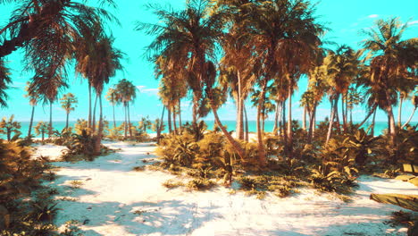 isla desierta con palmeras en la playa