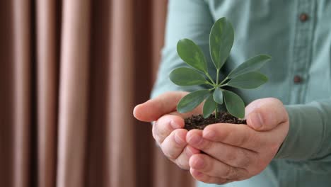 Handful-Of-Soil