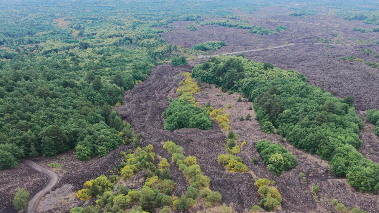 Veduta aerea di una colata lavica scura solidificata che attraversa foreste verdi lussureggianti sulle pendici dell'Etna, il vulcano più alto e attivo d'Europa, situato sulla costa orientale della Sicilia, Italia, vicino a Catania