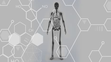 Animación-De-Fórmulas-Químicas-Sobre-El-Modelo-Del-Cuerpo-Humano